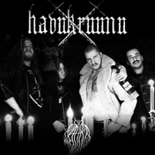 Havukruunu
