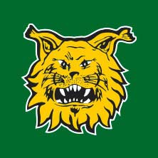 Ilves naiset jalkapallo